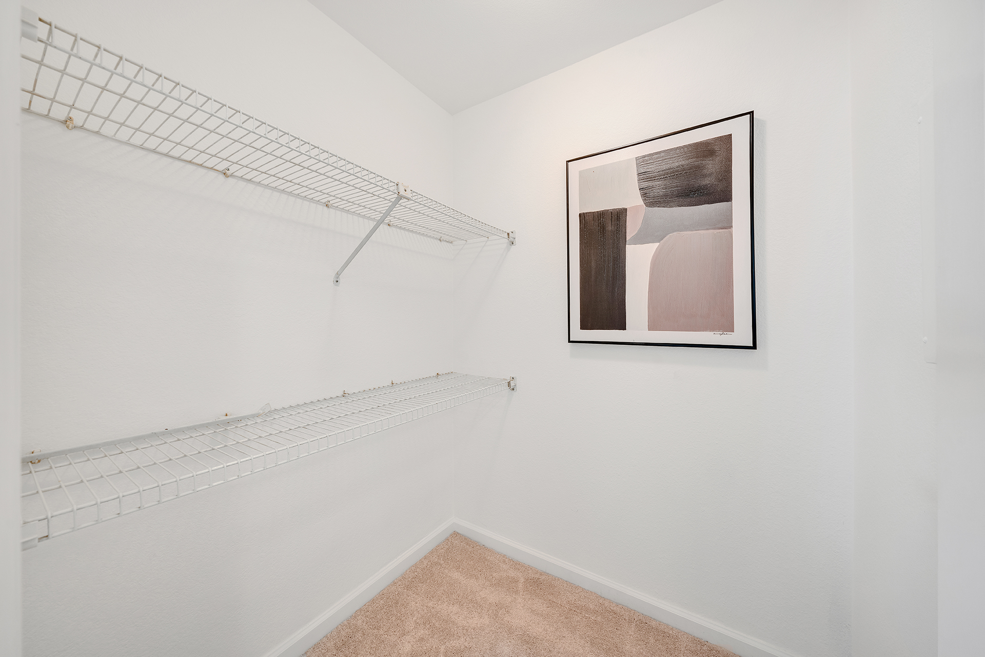 Walk-in closet, unit 318